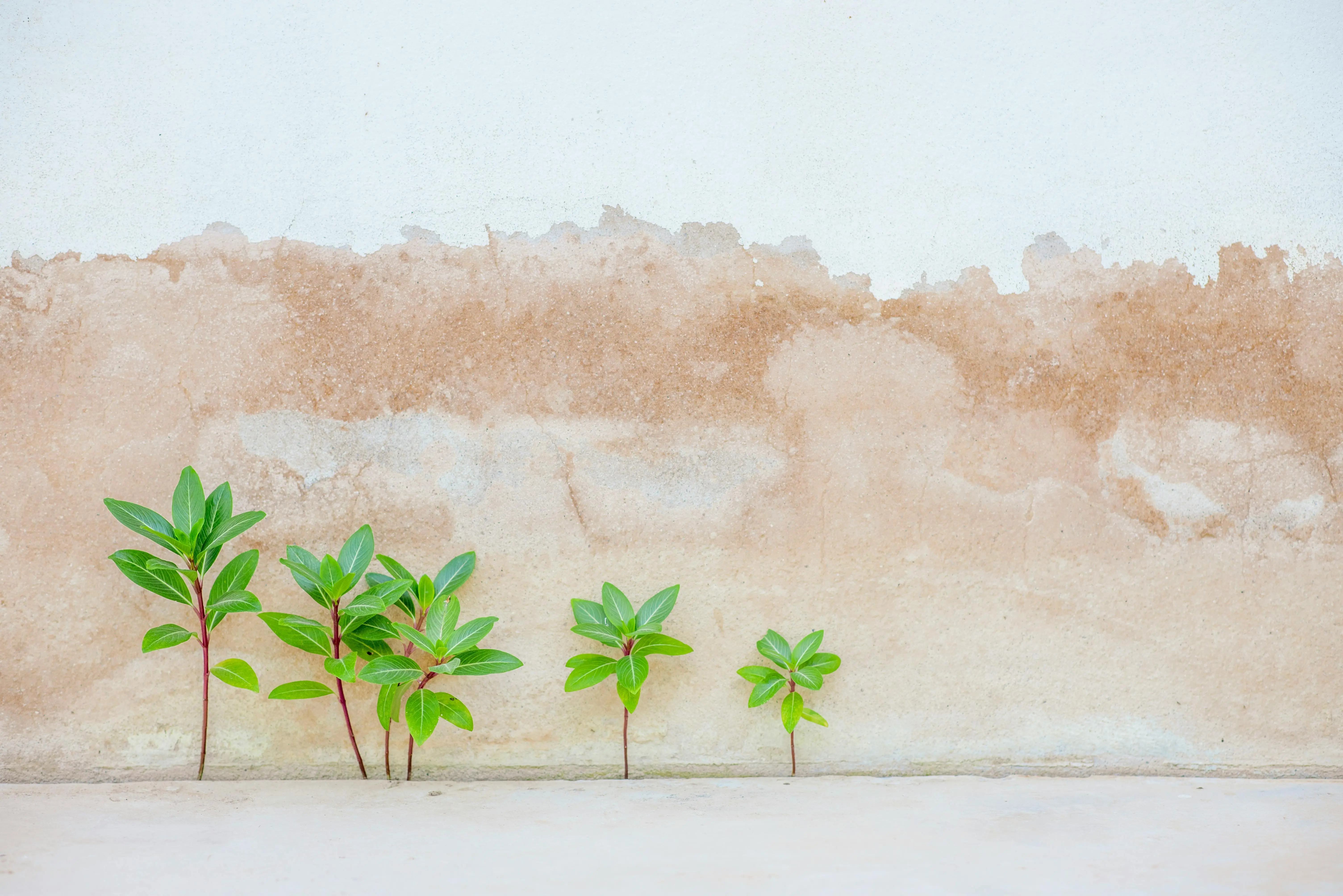 Why Your Family Office Outgrew QuickBooks And the 5 Signs You Already Know It